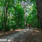 Center - Free Parking, Netflix And Wifi Διαμέρισμα