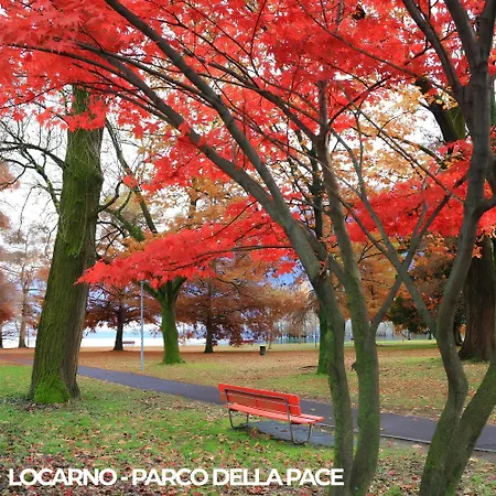 Apartamento Center - Free Parking, Netflix And Wifi