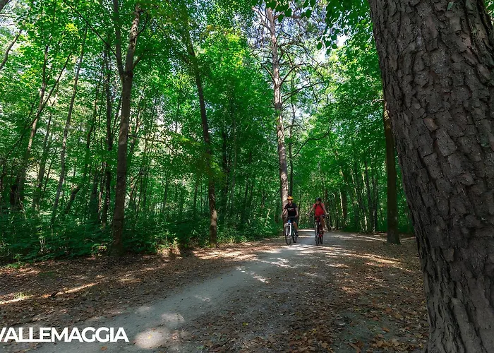 Center - Free Parking, Netflix And Wifi Lägenhet