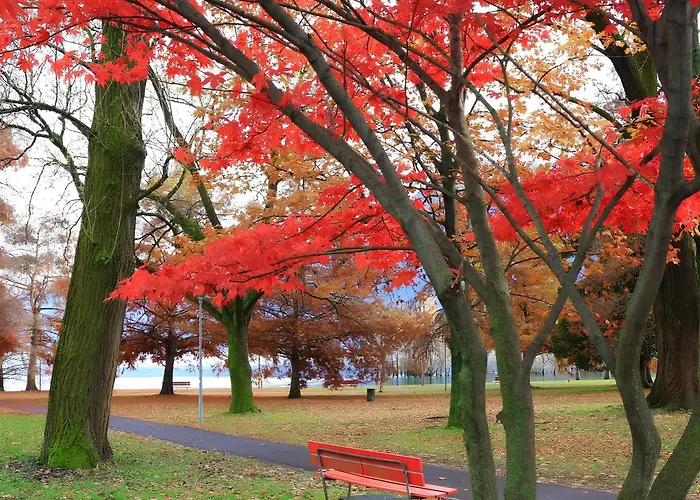 Lägenhet Center - Free Parking, Netflix And Wifi